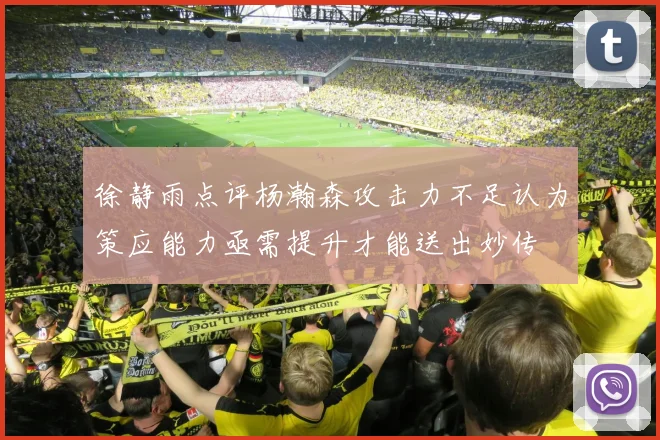 徐静雨点评杨瀚森攻击力不足认为策应能力亟需提升才能送出妙传
